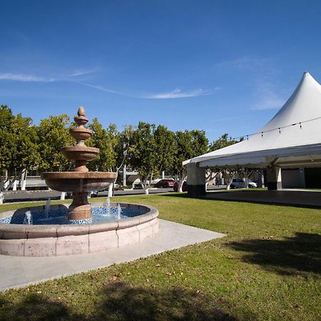 Hotel Calafia Mexicali Eksteriør billede