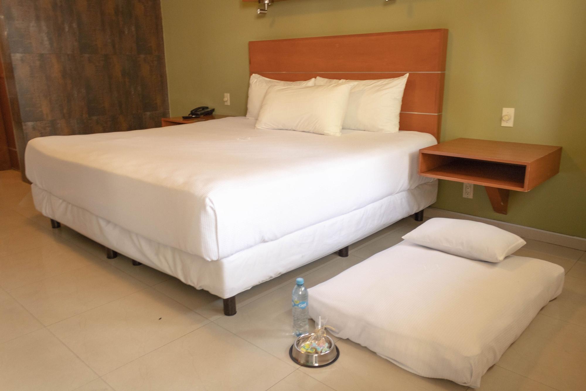 Hotel Calafia Mexicali Eksteriør billede